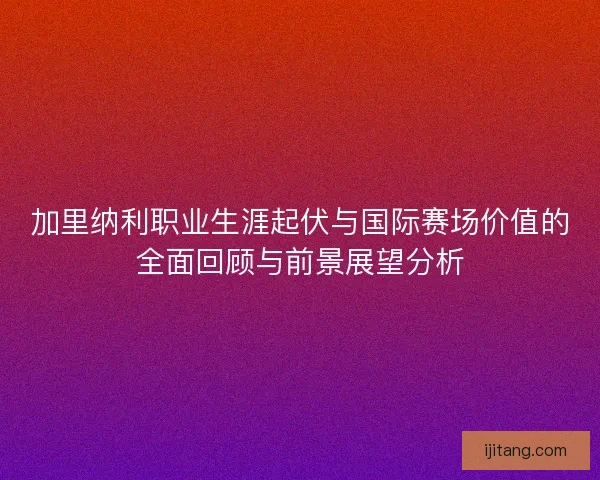 加里纳利职业生涯起伏与国际赛场价值的全面回顾与前景展望分析