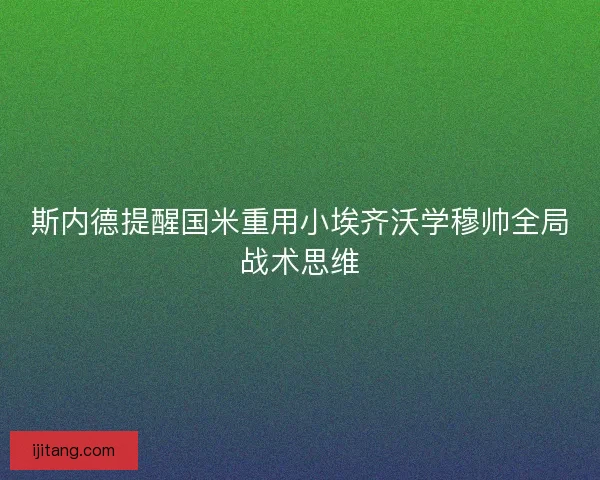 斯内德提醒国米重用小埃齐沃学穆帅全局战术思维